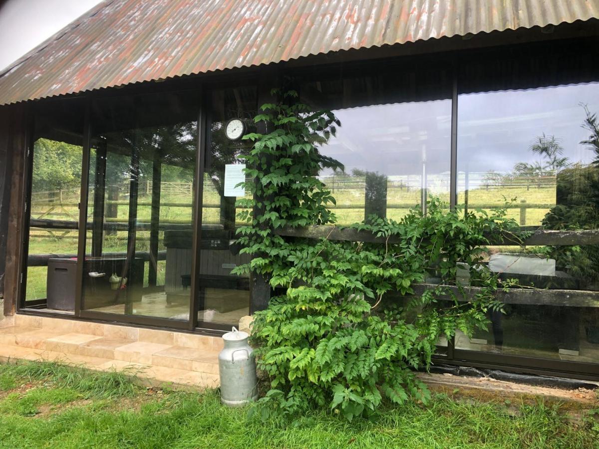 Le Champ Des Possibles Manerbe Exterior foto