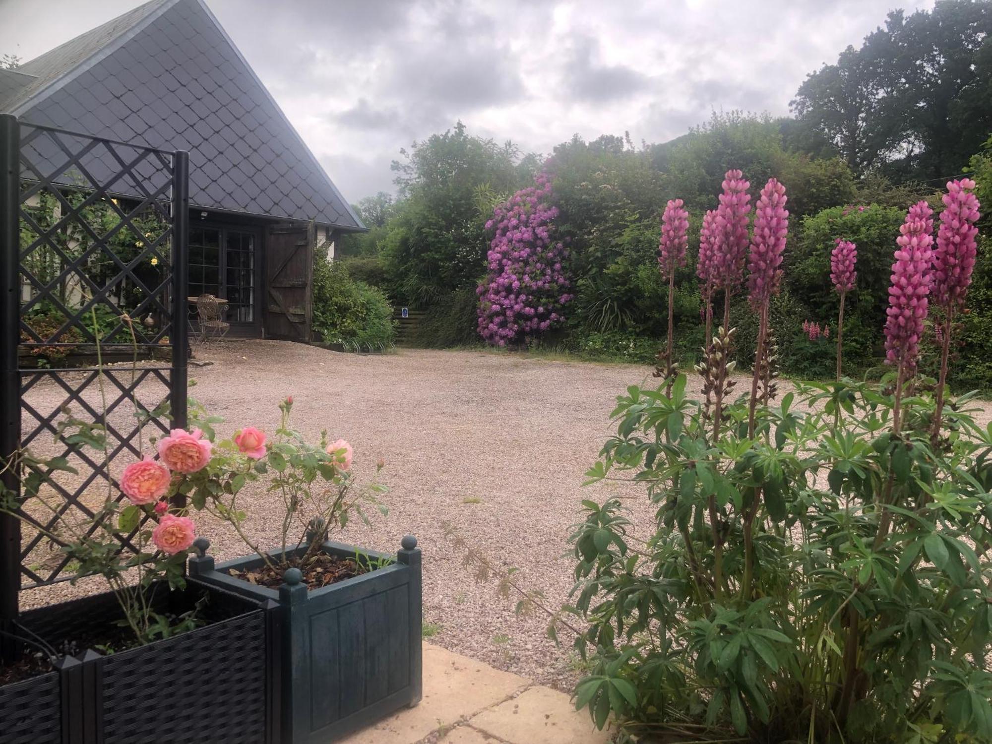 Le Champ Des Possibles Manerbe Exterior foto