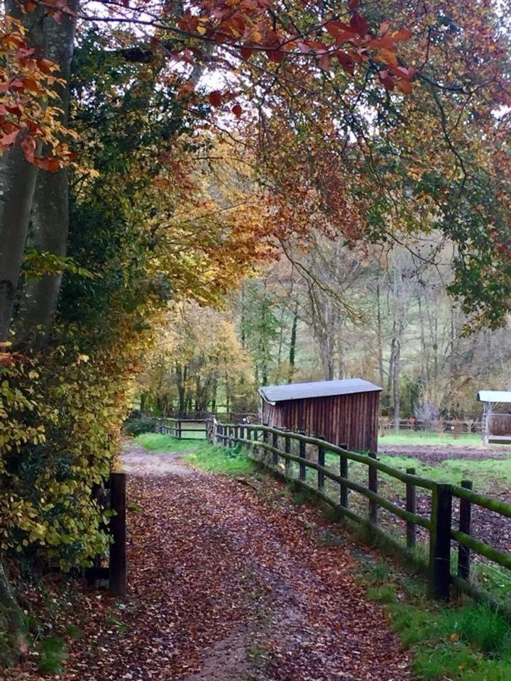 Le Champ Des Possibles Manerbe Exterior foto