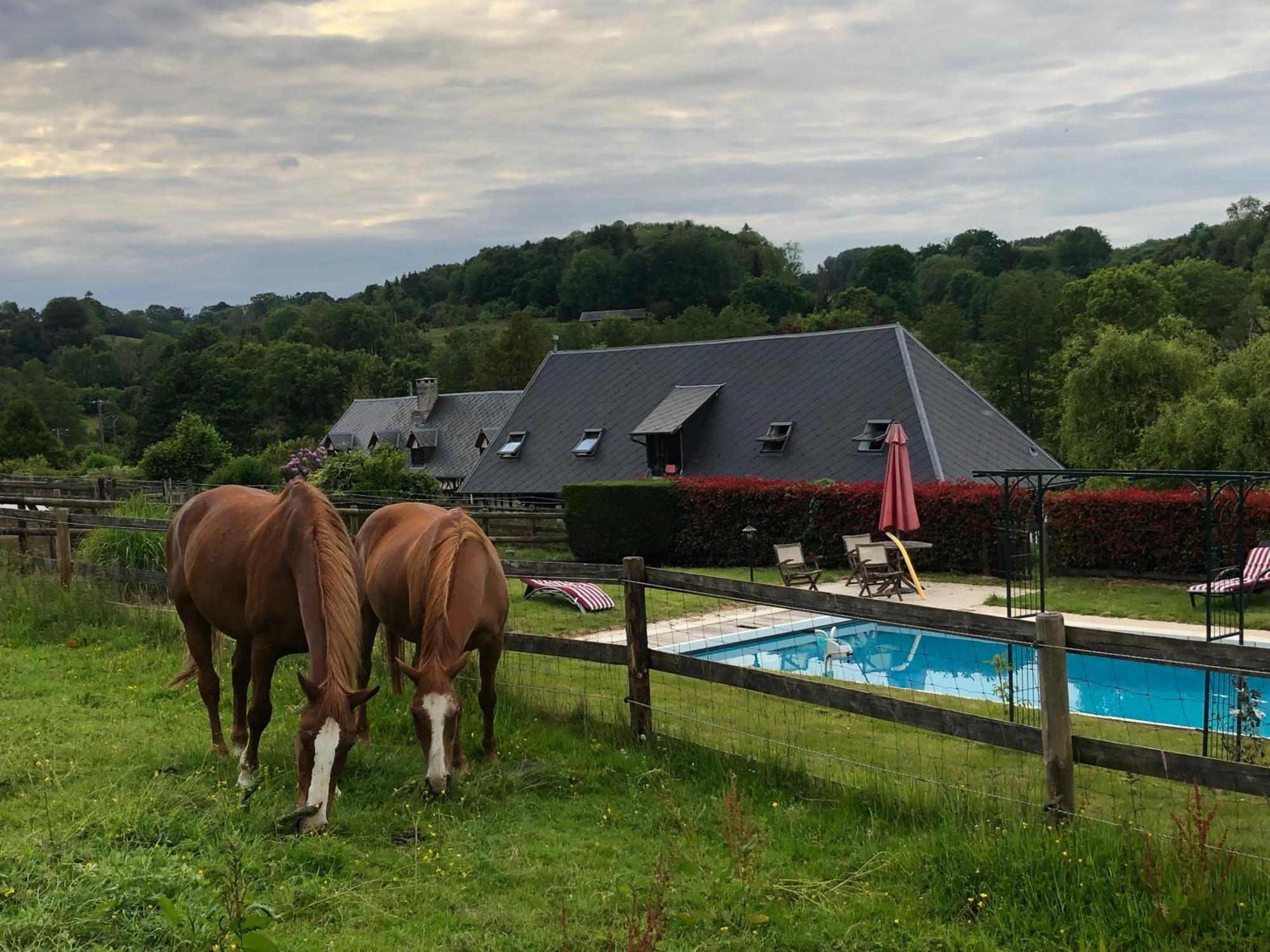 Le Champ Des Possibles Manerbe Exterior foto